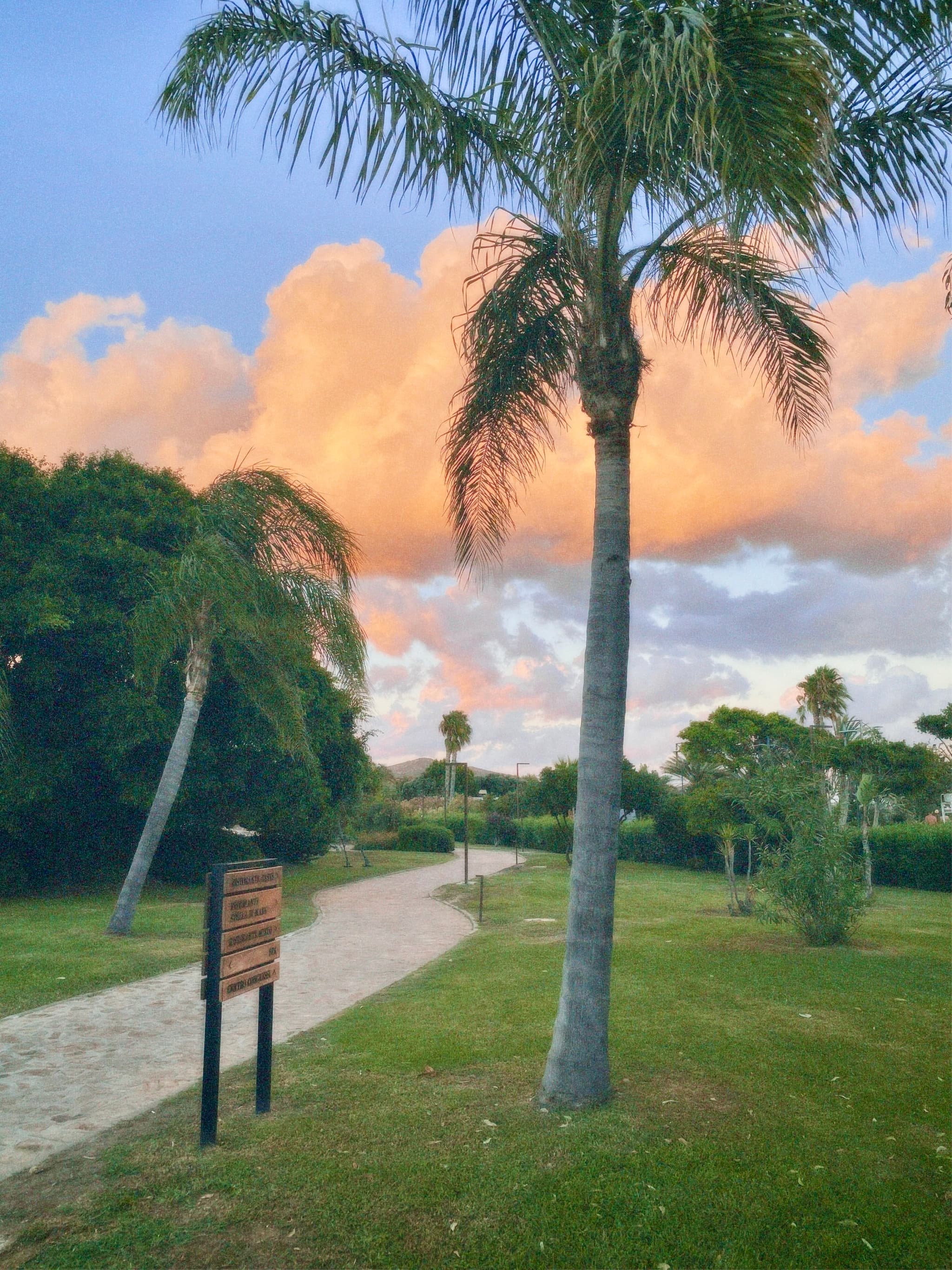 A serene tropical sunset scene with palm trees, lush greenery, and a wooden signboard, bathed in warm, soft lighting