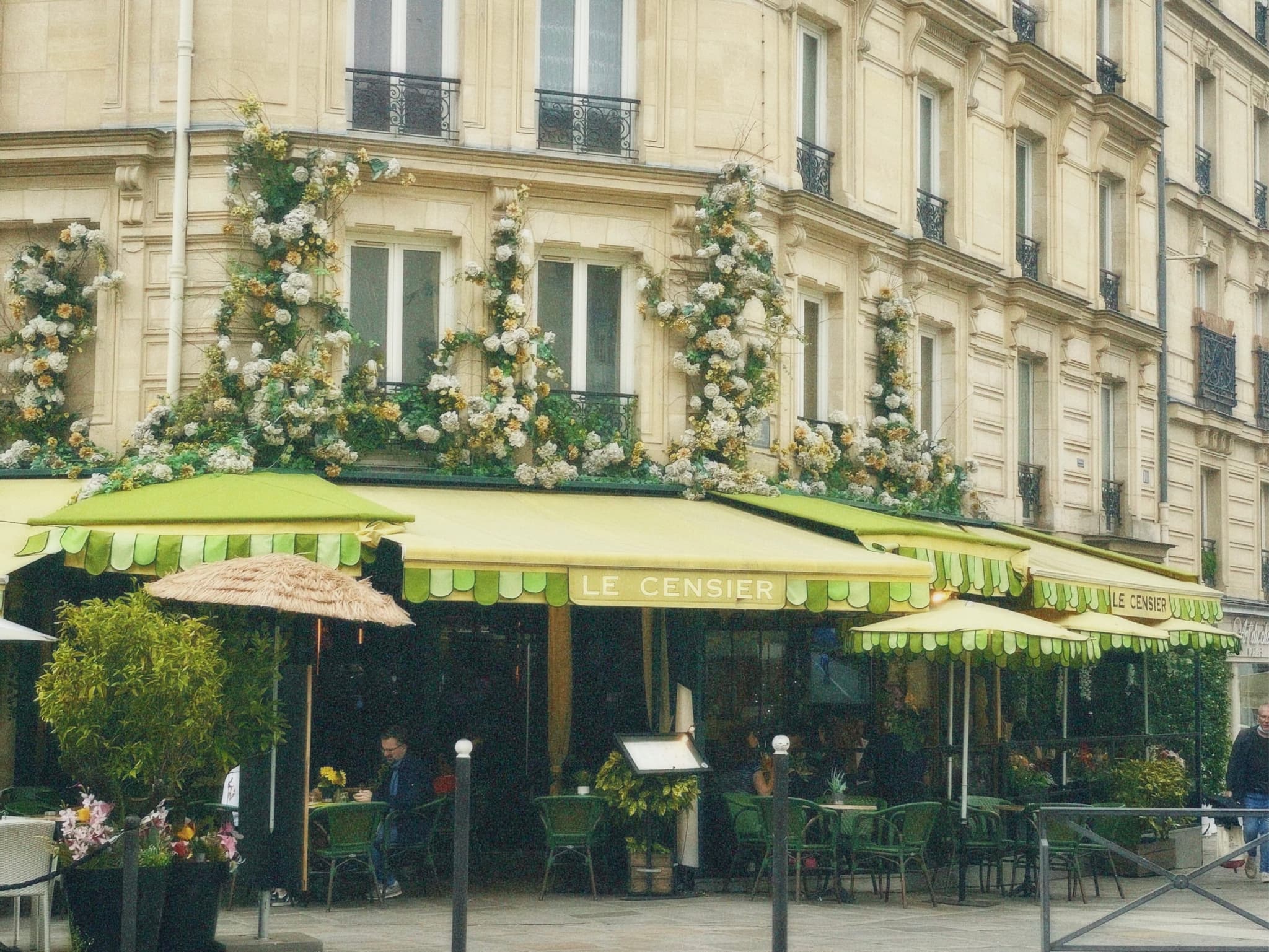 A charming Parisian cafe setting, lush green awnings, soft daylight, cozy ambiance, romantic and inviting